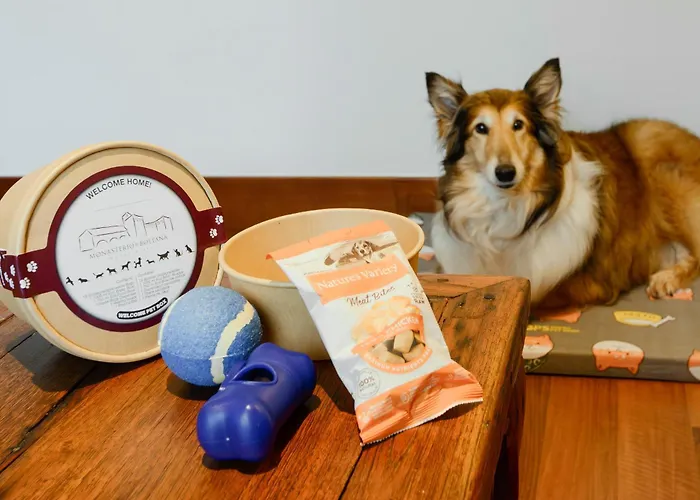 & Monasterio De Hotel 5*